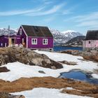 colourful houses