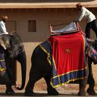 Colourful Jaipur