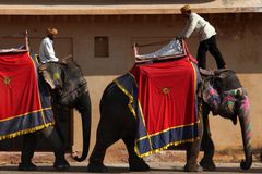 Colourful Jaipur