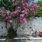 Colourful May 2010 on Samos / Greece