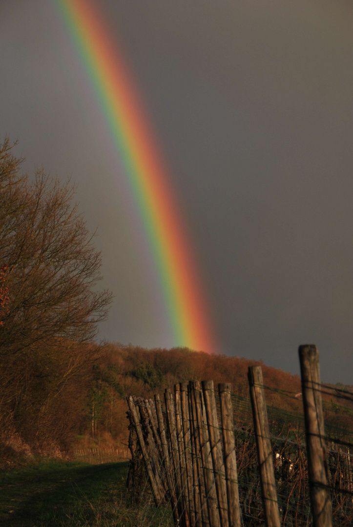 colourful rainbow over the vineyards of Niedernhall (Germany)