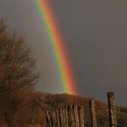 colourful rainbow over the vineyards of Niedernhall (Germany)