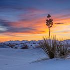 Colourful Sands