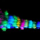 Colourful trees in quick motion