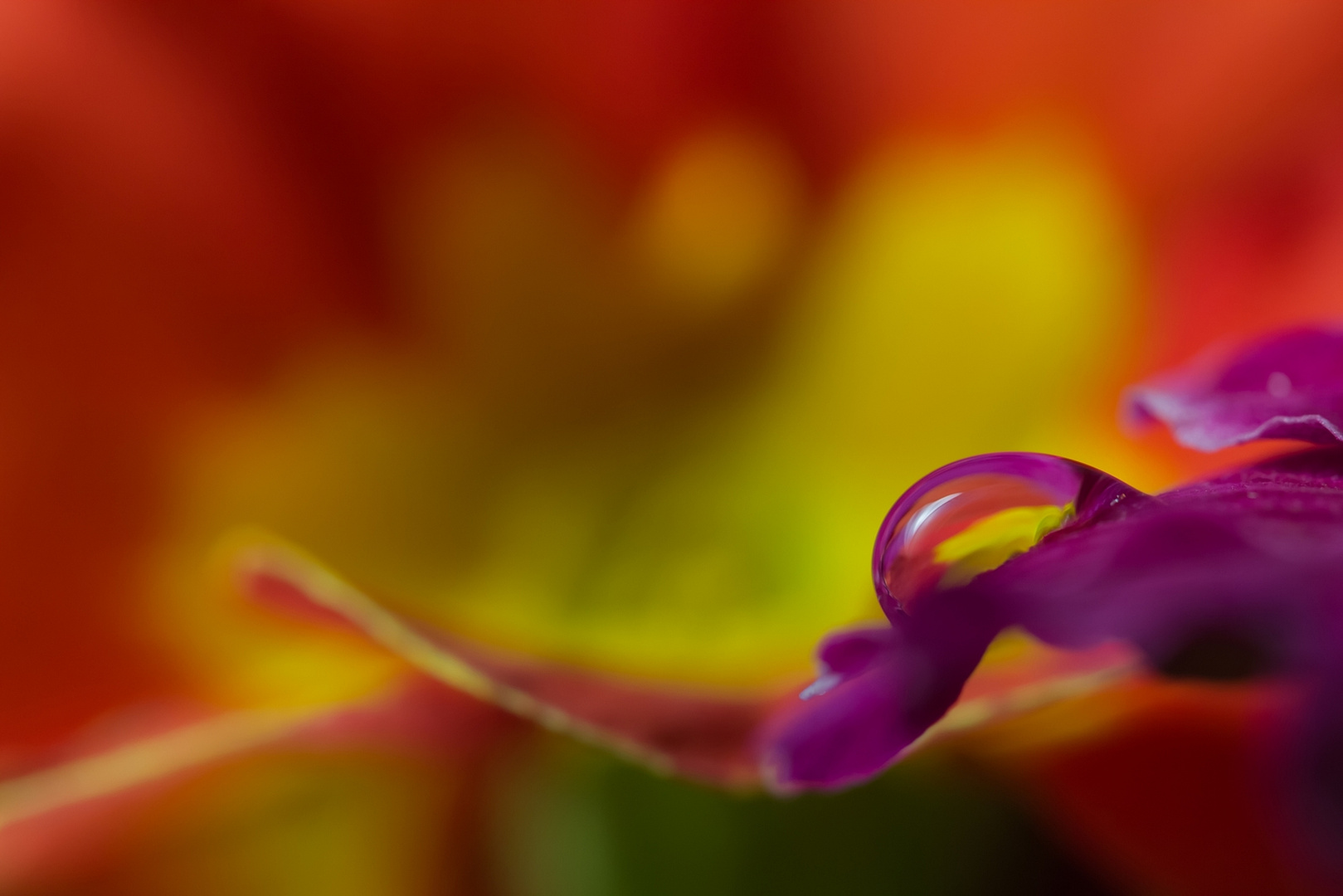 Colourful water drop ...