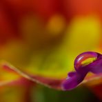 Colourful water drop ...