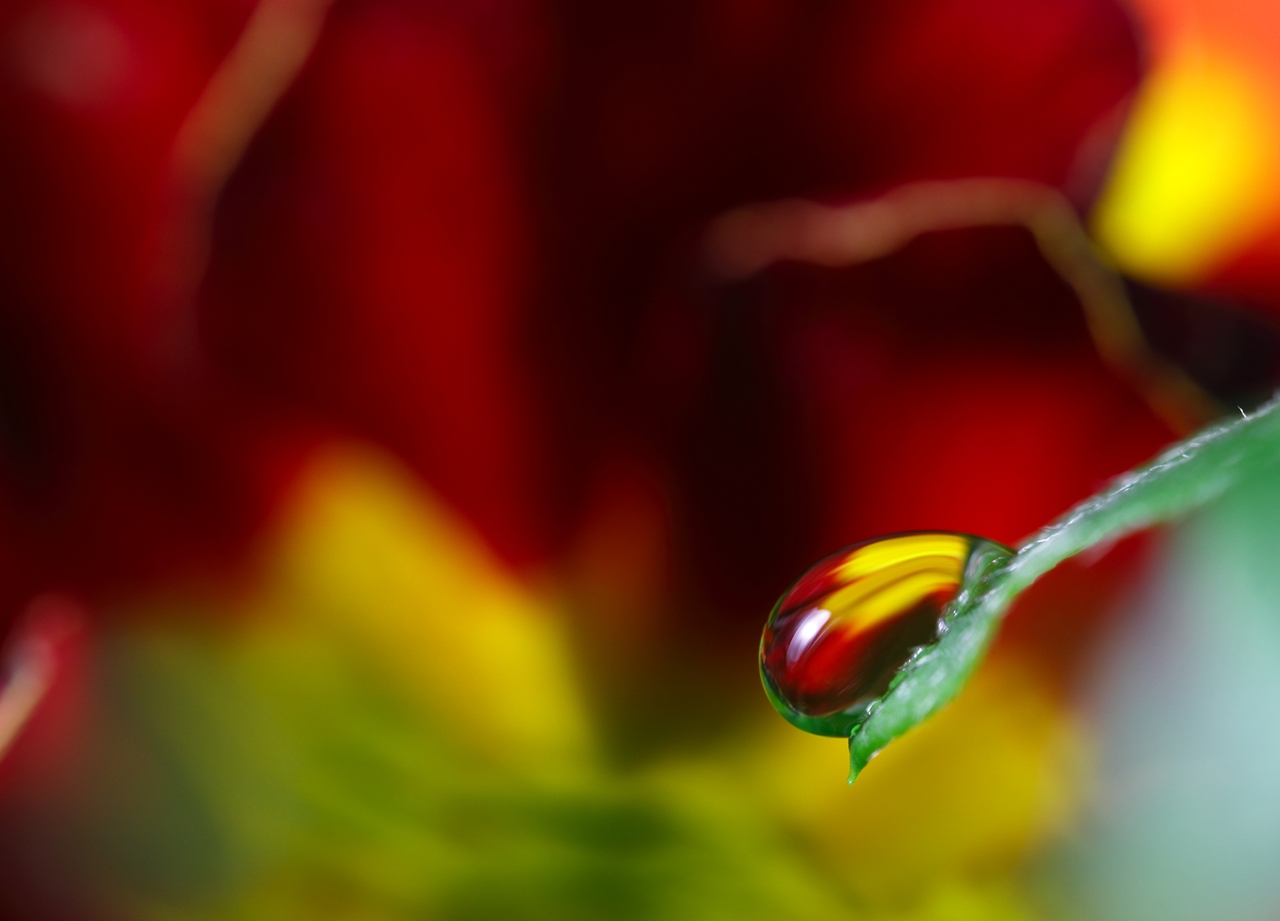 Colourful water drop ...