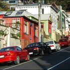 Colourful Wellington