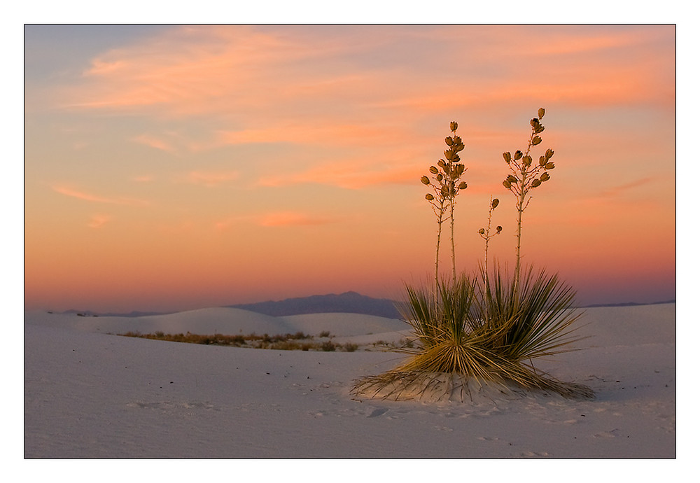 Colourful White Sands