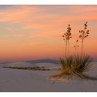 Colourful White Sands