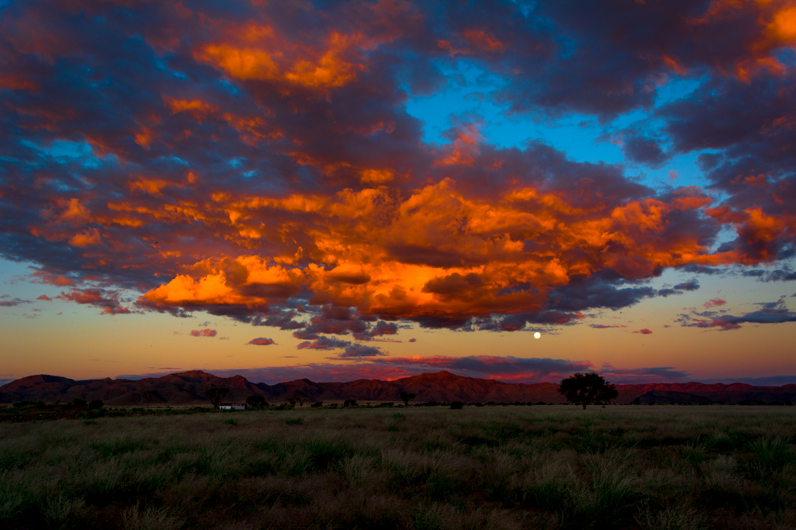 Colourfull desert