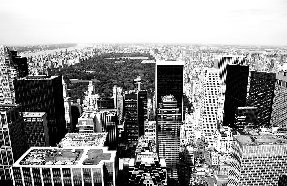 colourless NYC IX