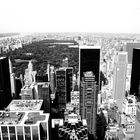 colourless NYC IX