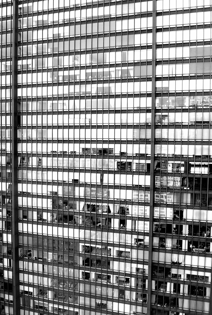 colourless NYC XII