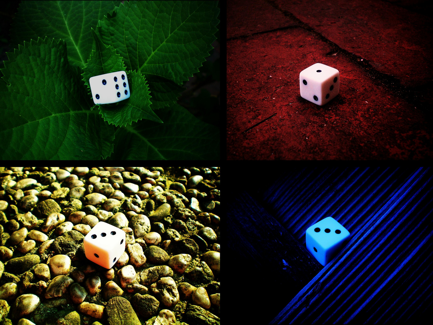 colours and dice