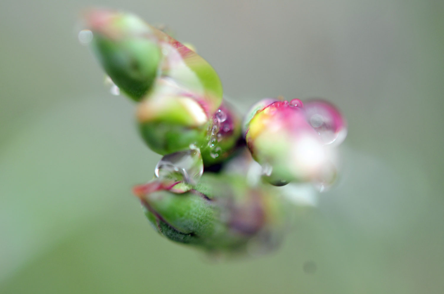 colours and raindrops