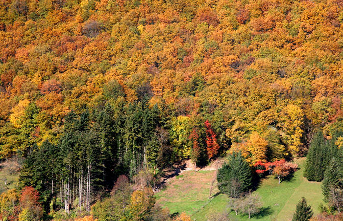 colours in the middle of november