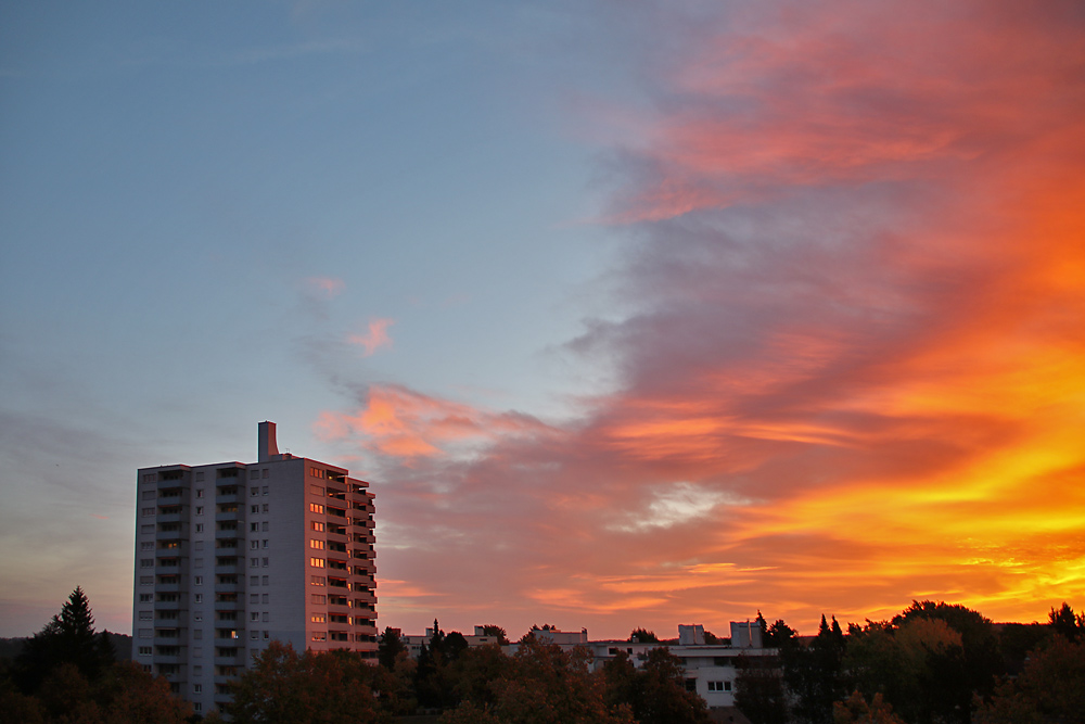 colours in the morning