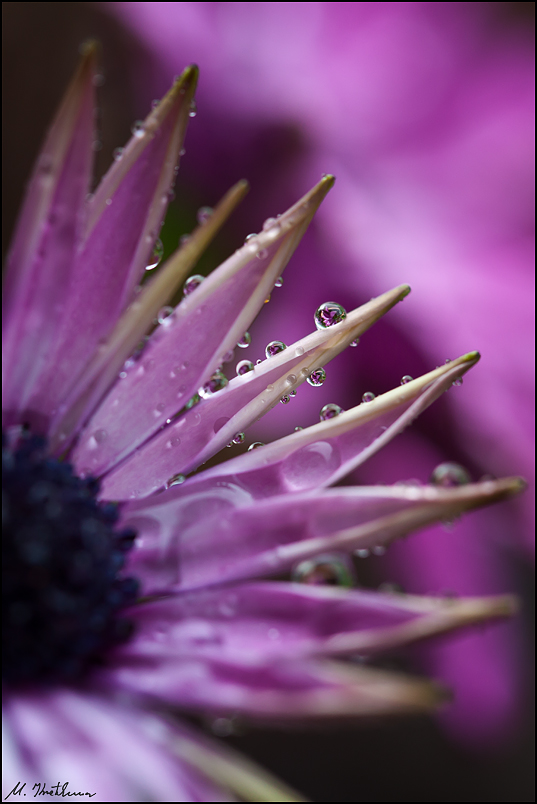 colours of a rainy day...