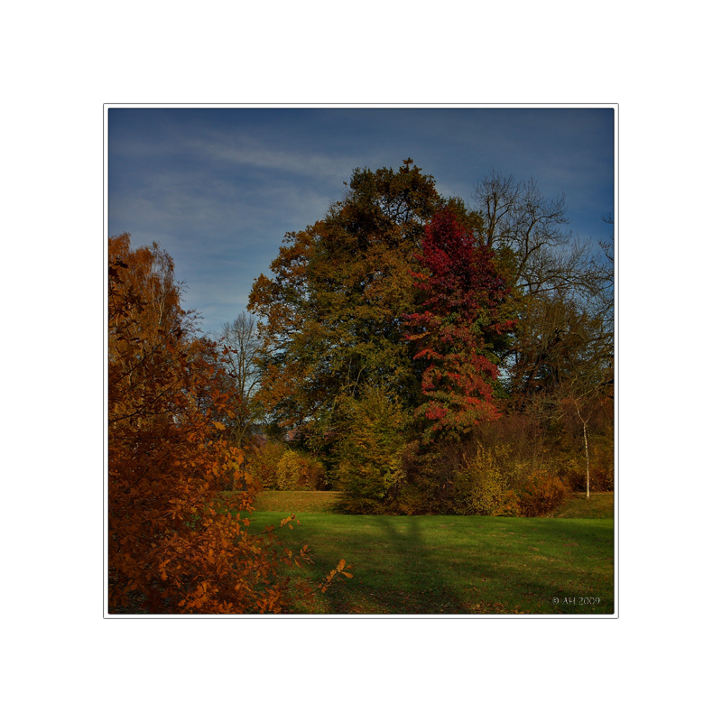 Colours Of Autumn (3)