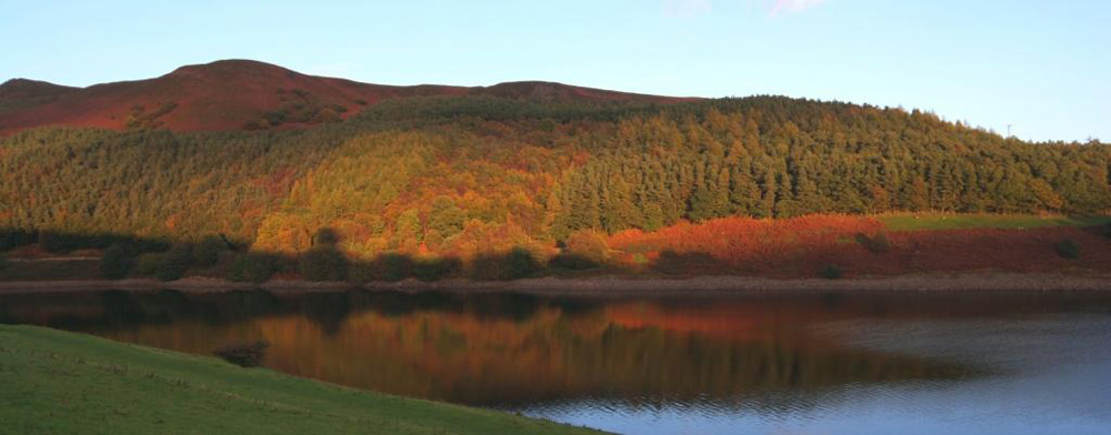 Colours of Autumn