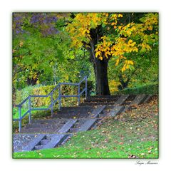 Colours of autumn