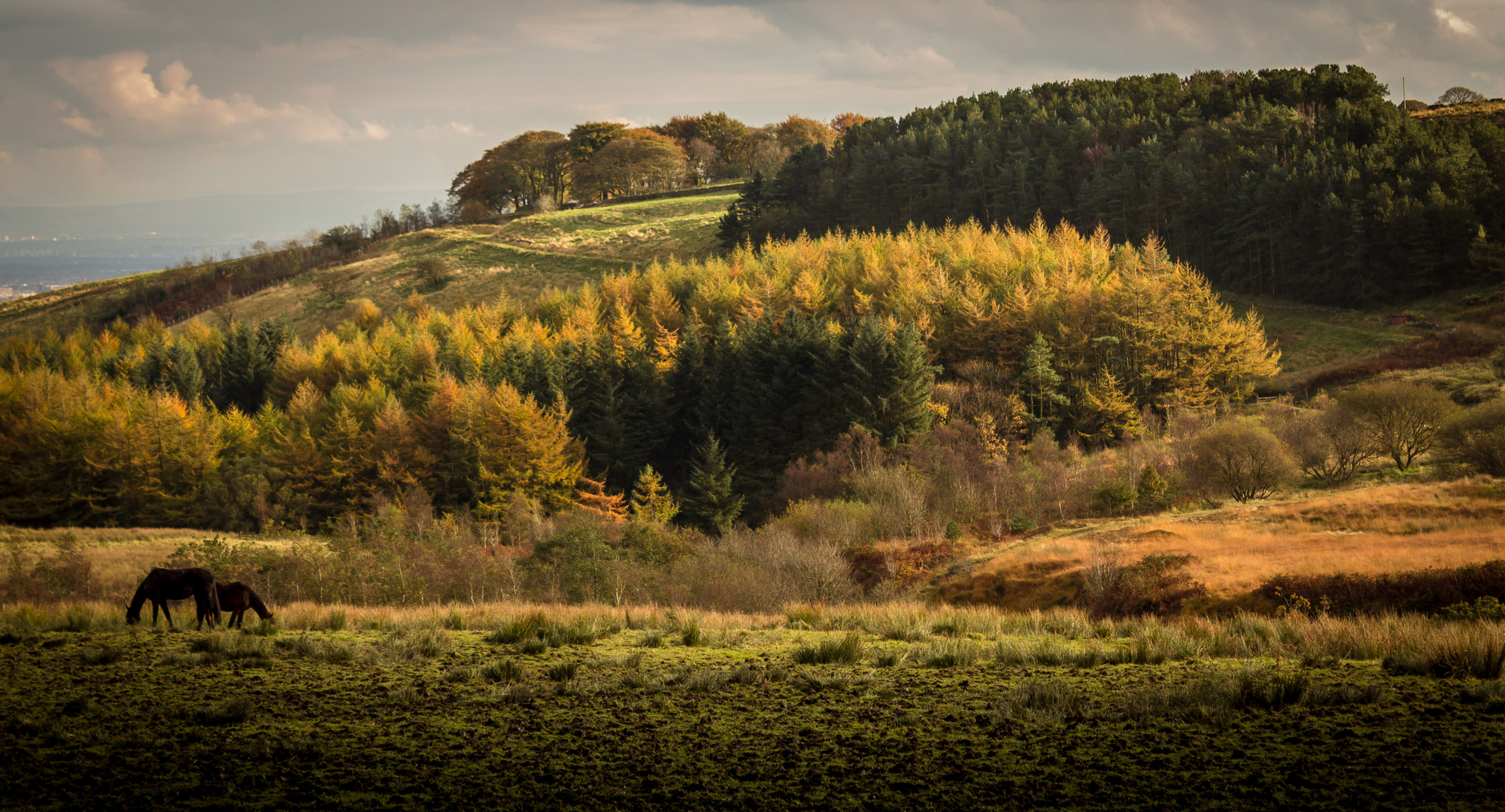 Colours of Autumn