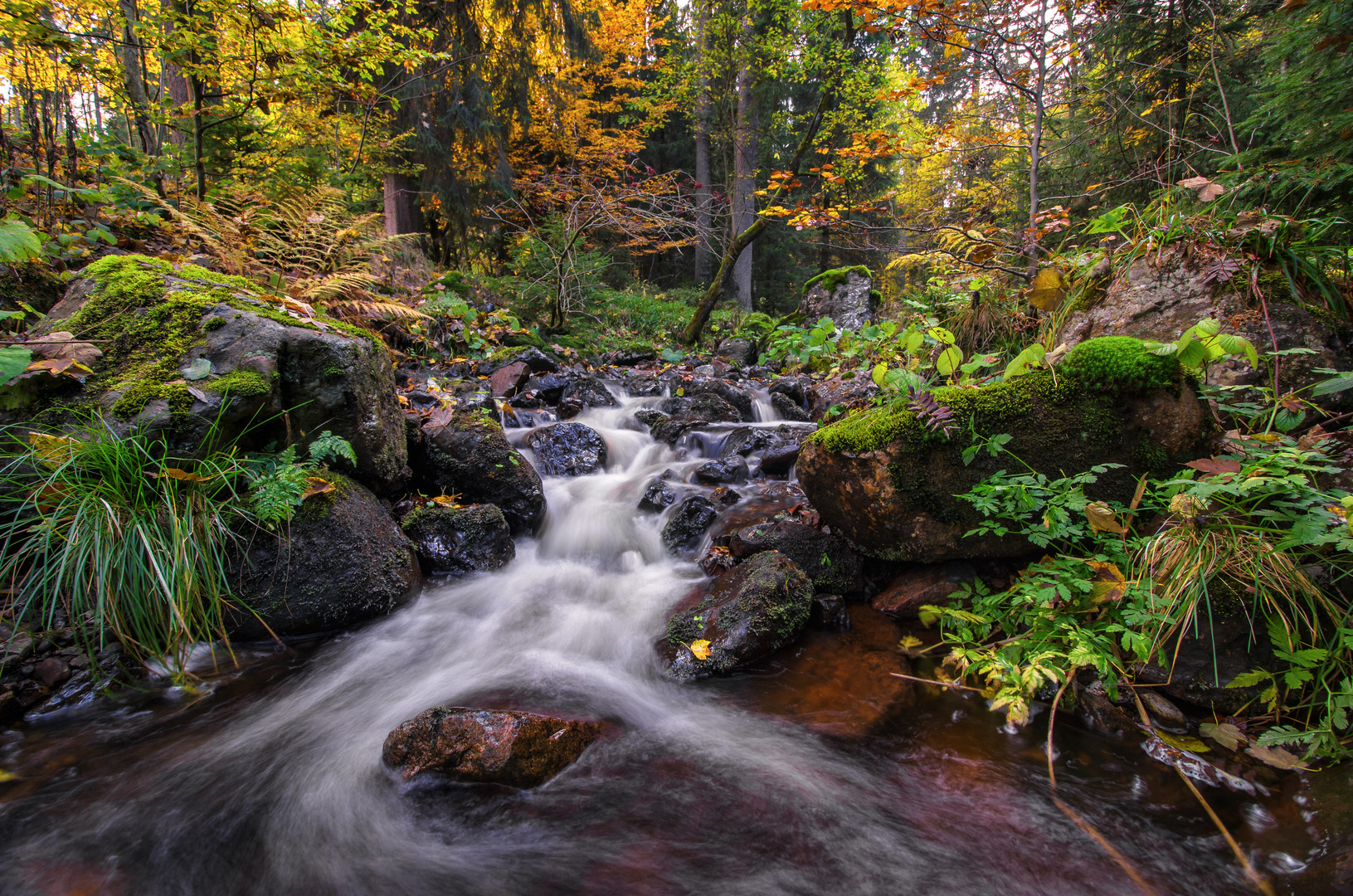 Colours of Autumn