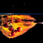 colours of autumn_17 - Blatt und Hagebutten versinken im Wasser