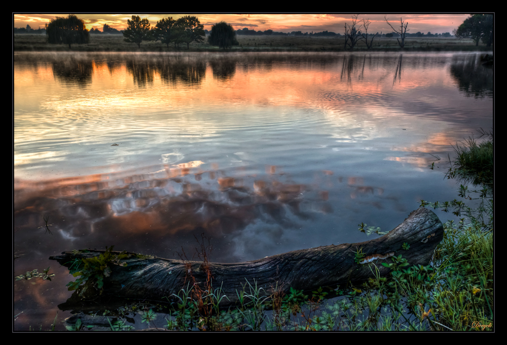 Colours of dawn