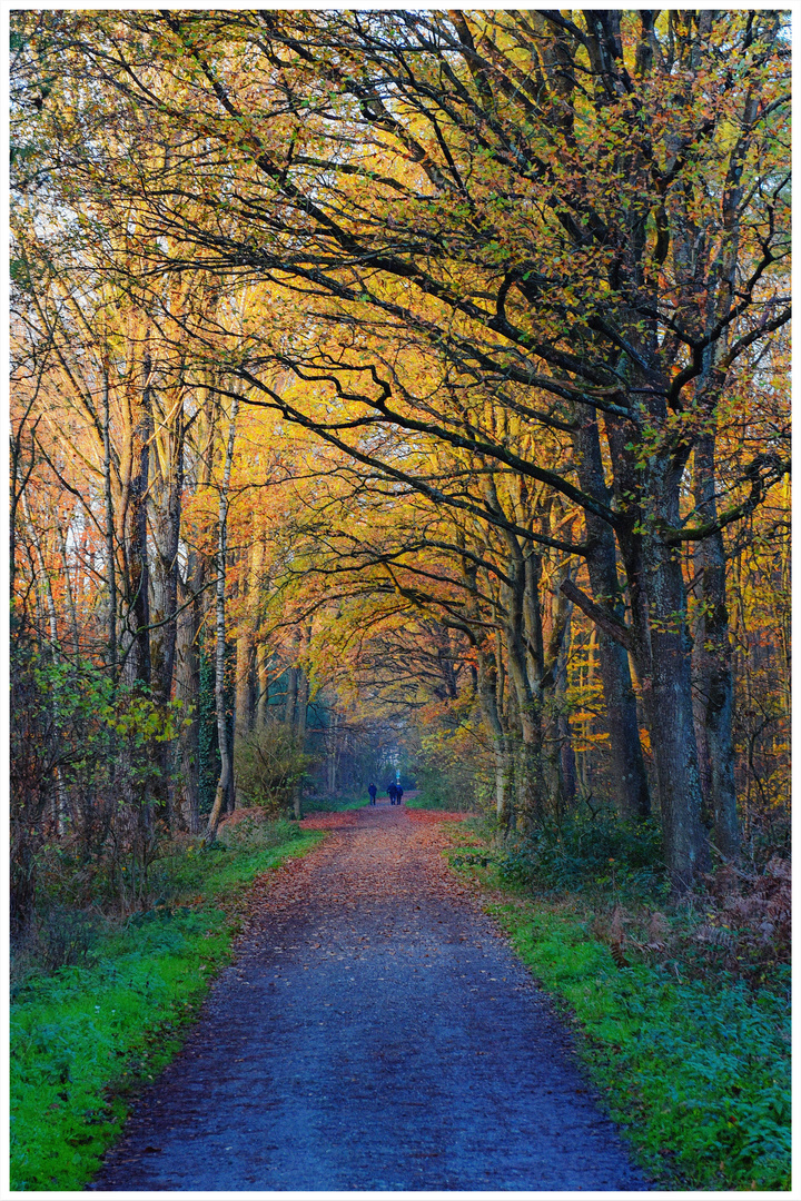 Colours of Duisburg 126 - Stahlstadt in herbstlichem Gewand