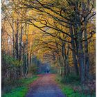 Colours of Duisburg 126 - Stahlstadt in herbstlichem Gewand