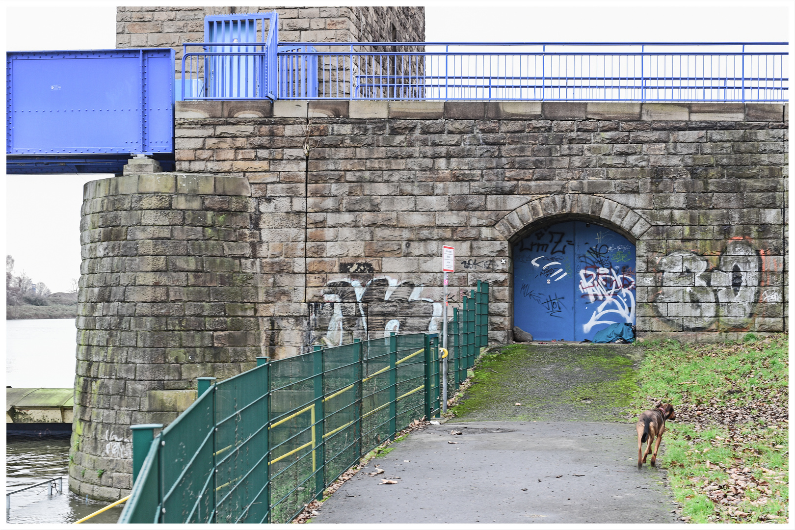 Colours of Duisburg 136 - Vor verschlossener Tür (mit Hund)