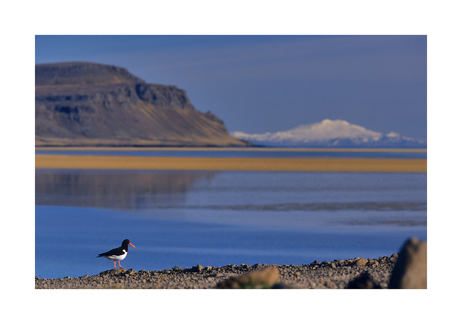 Colours of Iceland - 05-2007