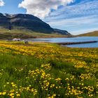 Colours of Iceland - Kirkjufell