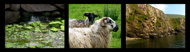 Colours of Ireland