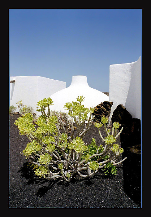 *** Colours of Lanzarote ***