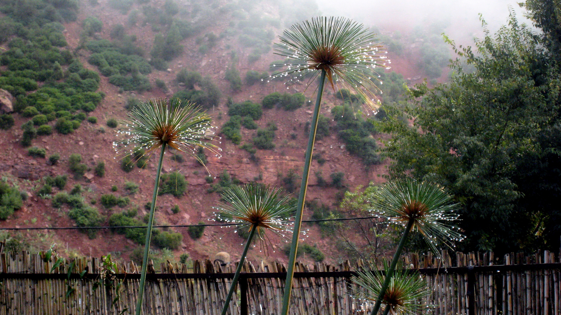 Colours of maroc