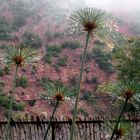 Colours of maroc