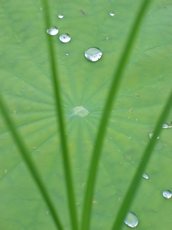 Colours of Nature