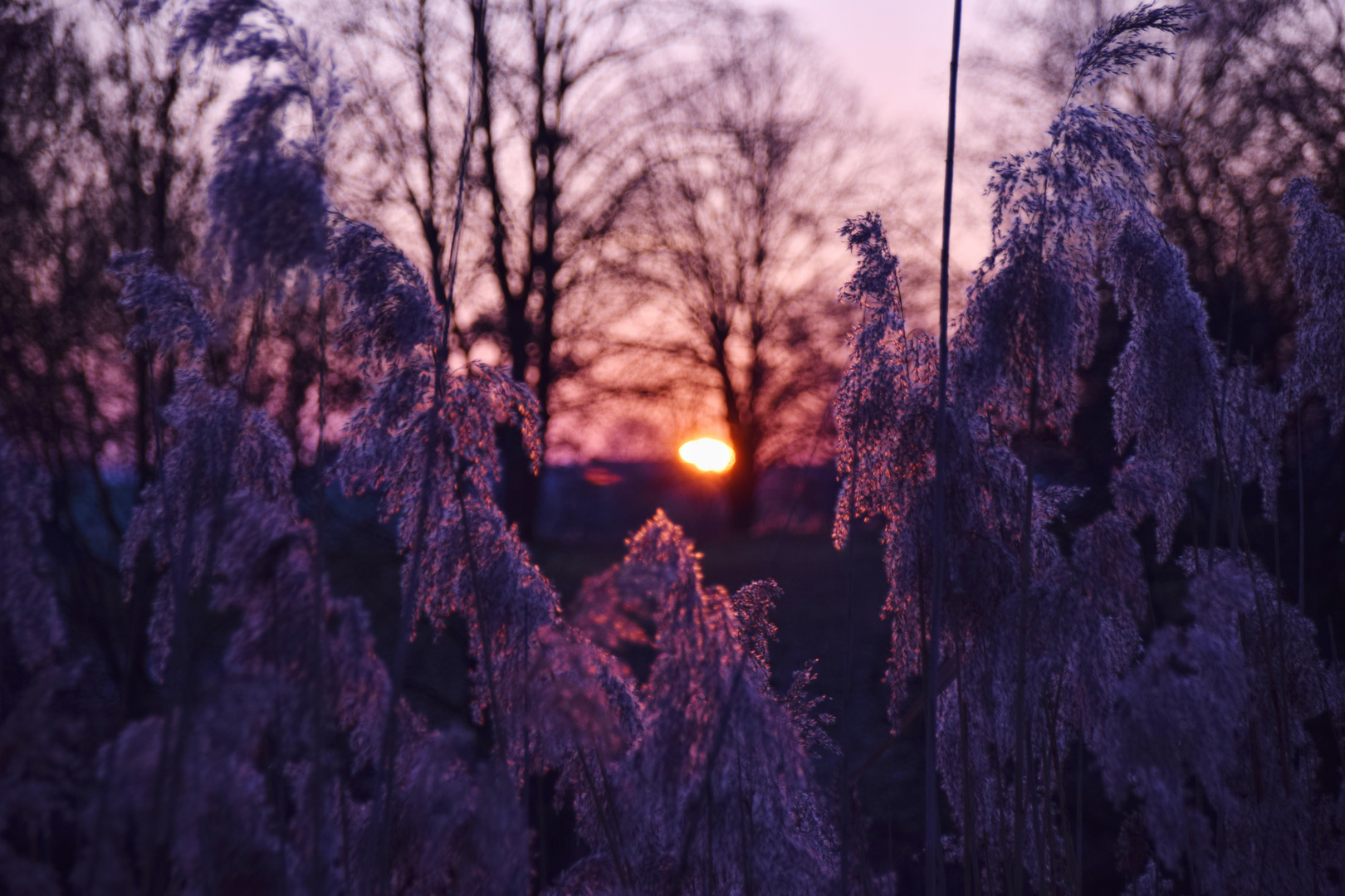 colours of nature