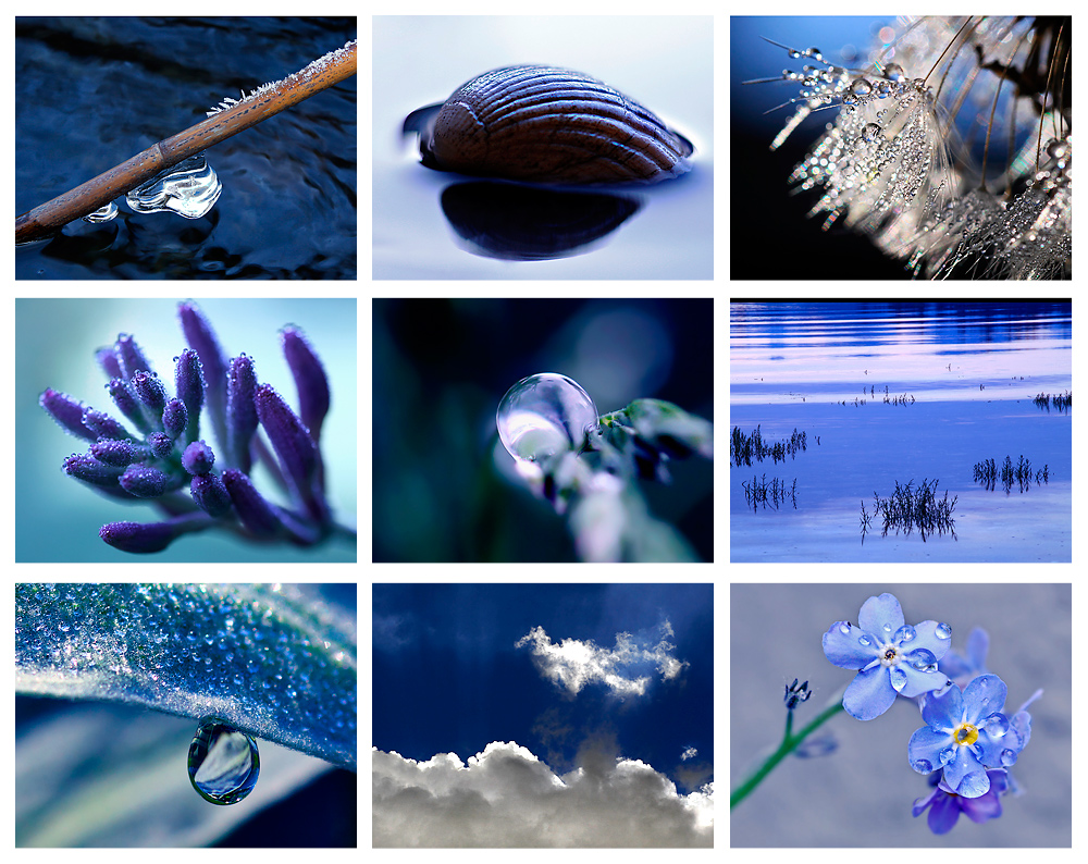 Colours of Nature - BLUE