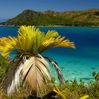 Colours of Seychelles