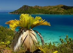 Colours of Seychelles