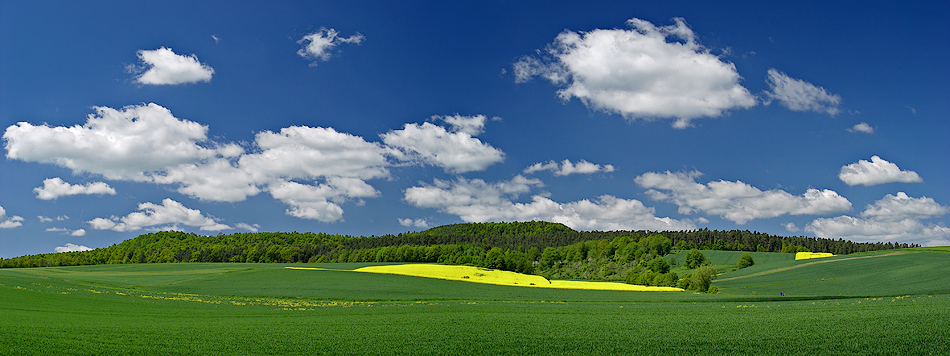 Colours of Spring...