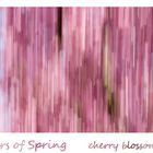 Colours of Spring - cherry blossom pink