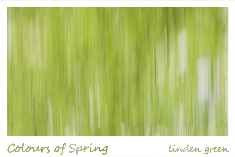 Colours of Spring - linden green