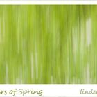 Colours of Spring - linden green