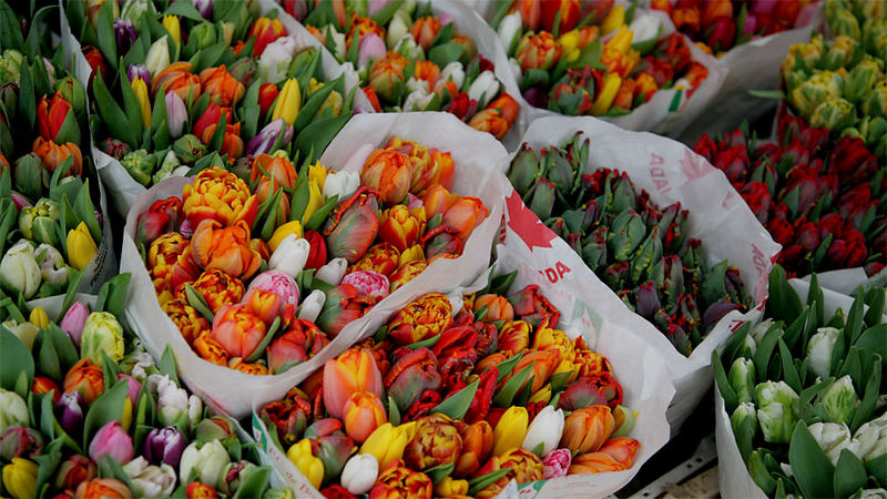 Colours of Spring, Naschmarkt, Wien / A