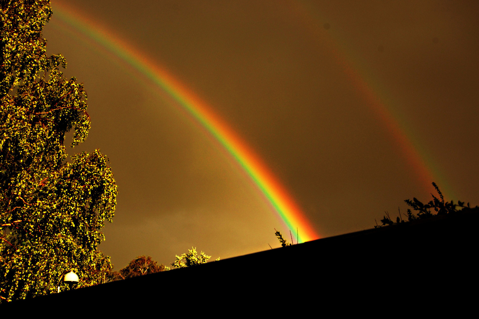 "Colours of the Rainbow"